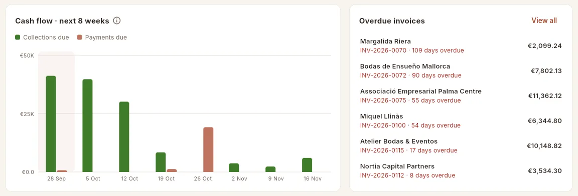 The forecast of collections and payments and the overdue invoices.